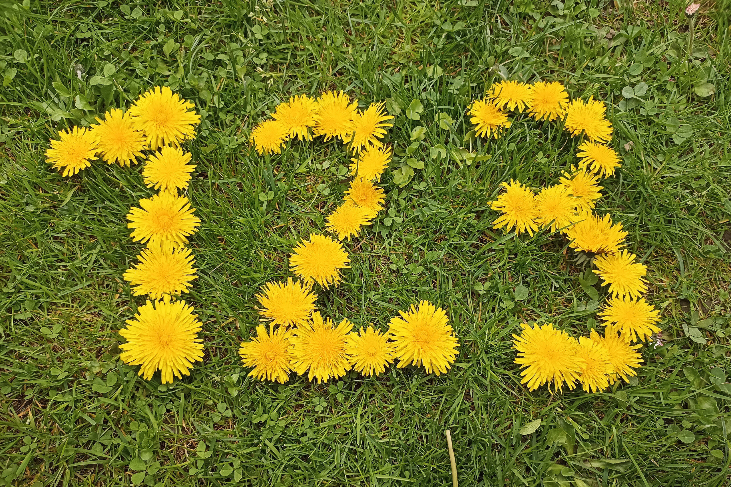 Aleksandra Jezuit, kl. 7c, Tytuł: „Kolejno odlicz”