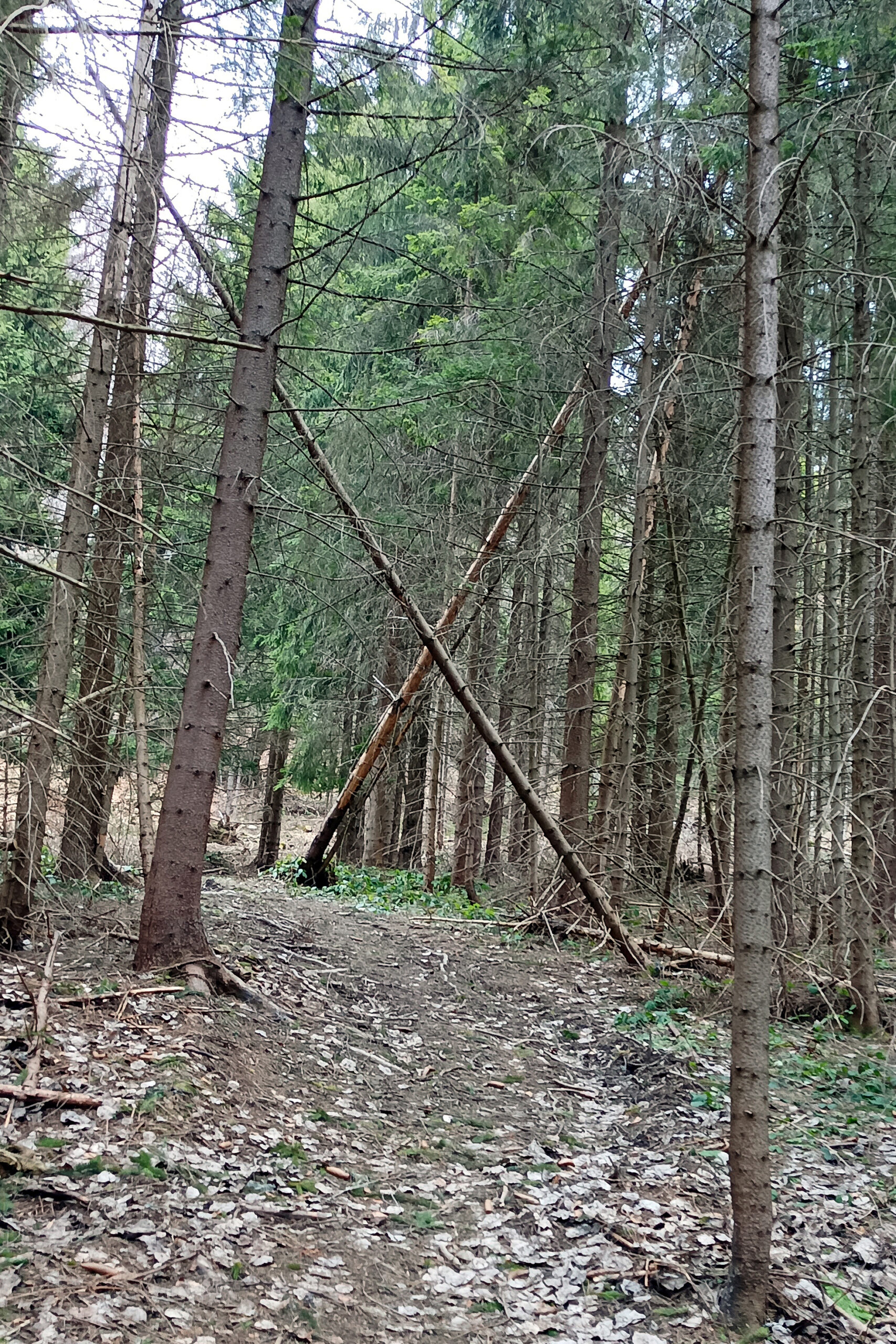 Aleksandra Parys 7d "X - poszukiwanie przygody"