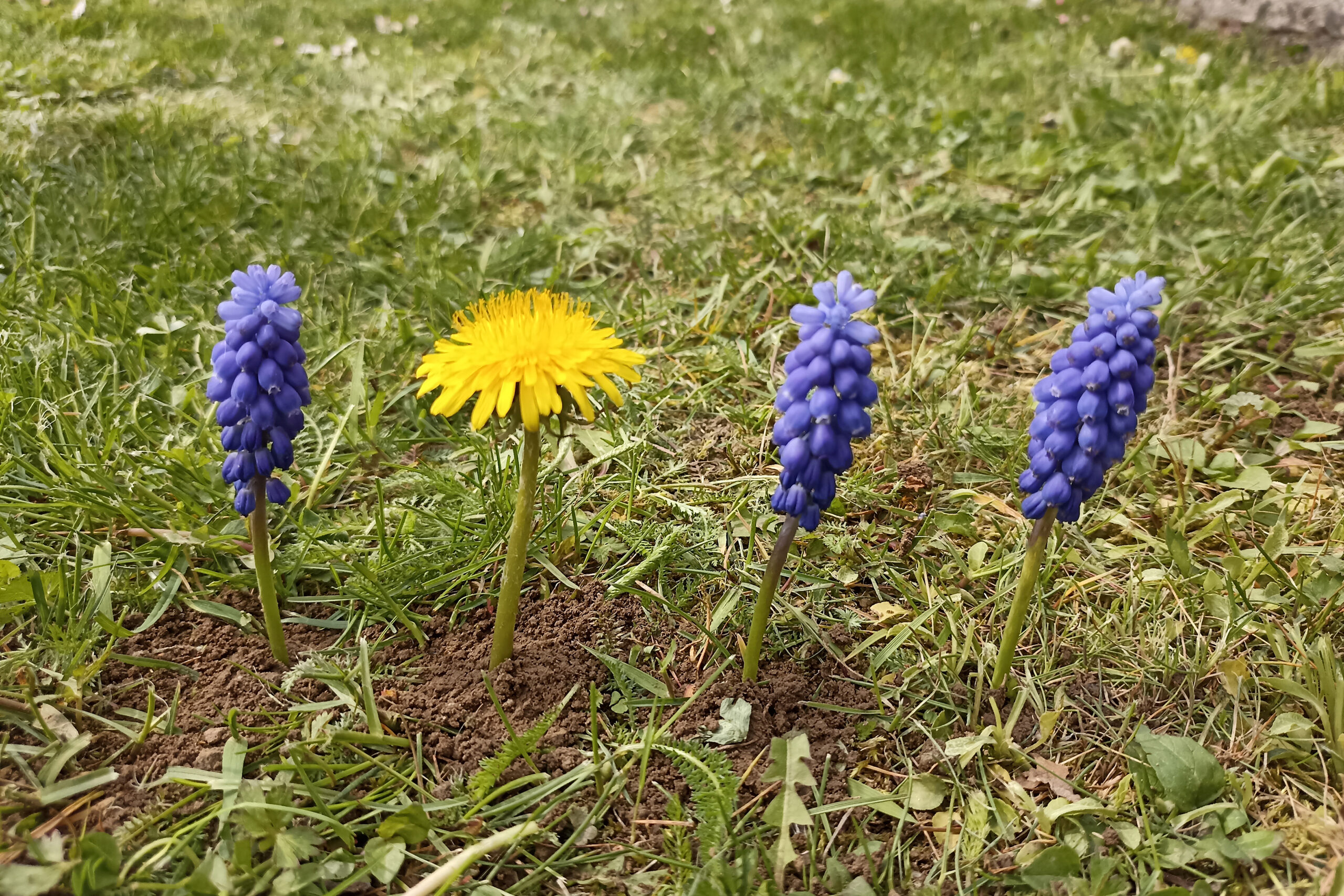 Aleksandra Jezuit, kl. 7c, Tytuł: „Trzy czwarte”