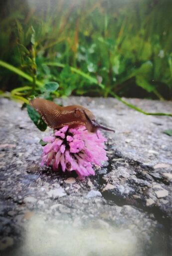 MAJA SOKÓŁ 8A - KONKURS FOTO - DETALE CODZIENNOŚCI