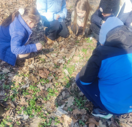 DYDAKTYKA WYSOKICH LOTÓW - zajęcia