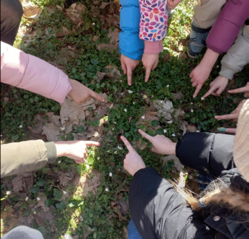 DYDAKTYKA WYSOKICH LOTÓW - zajęcia